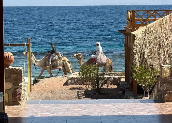 Freedom Camp Saleh Kamp alanı Nuweiba`
