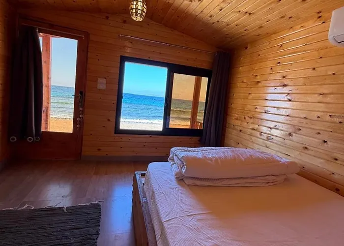 Kamp alanı Freedom Camp Saleh Nuweiba`